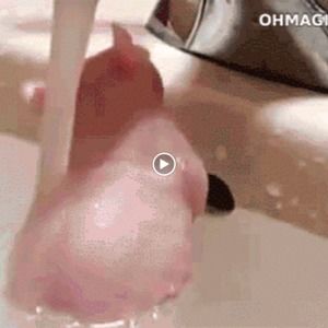 Meet your Posher, Carlee